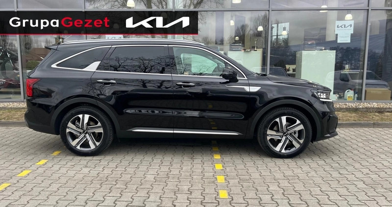 Kia Sorento cena 254900 przebieg: 5, rok produkcji 2023 z Pelplin małe 121